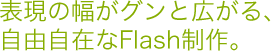 \̕OƍLAR݂FlashB